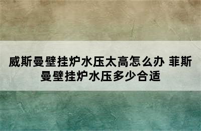 威斯曼壁挂炉水压太高怎么办 菲斯曼壁挂炉水压多少合适